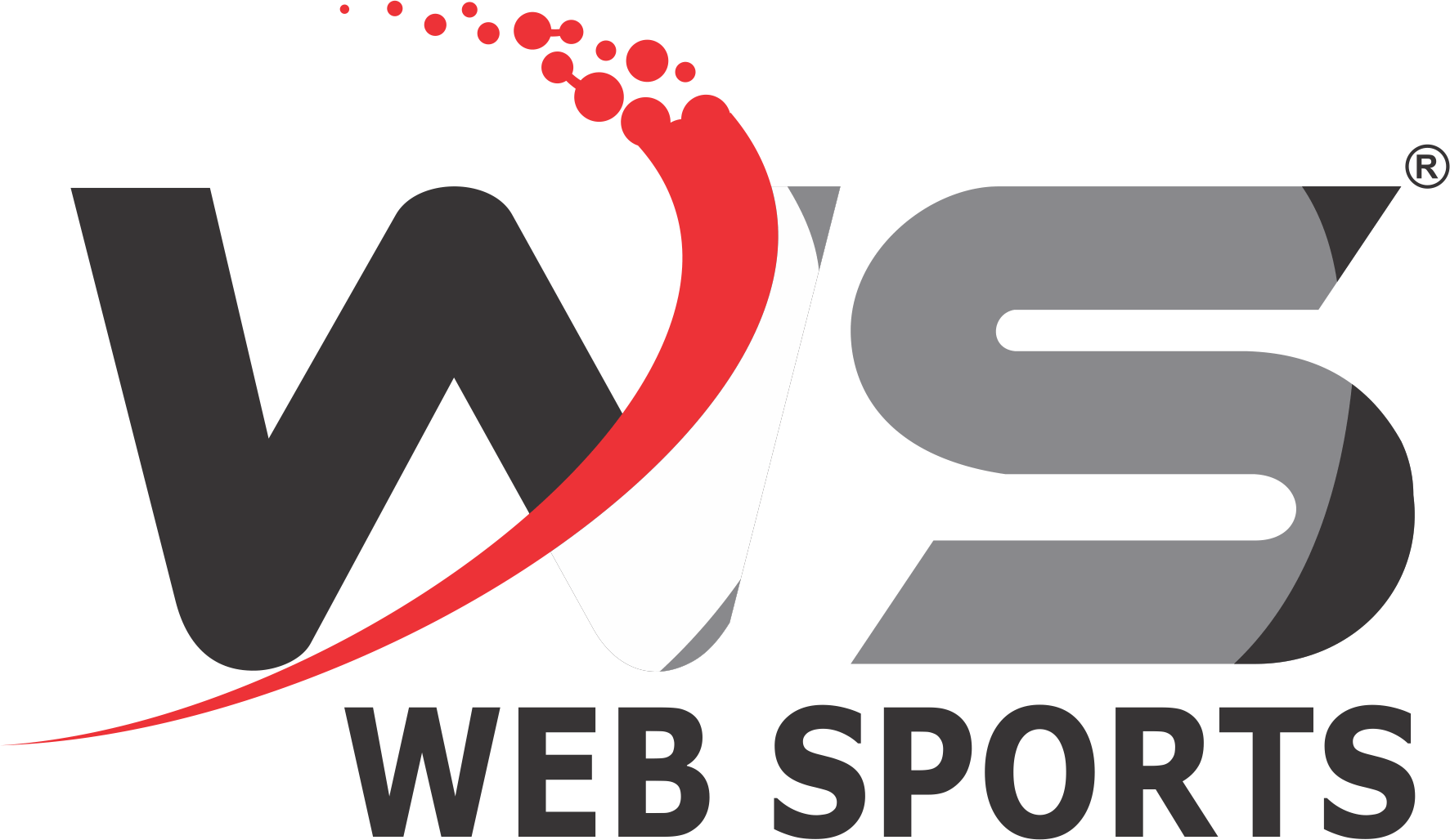 WS BADMINTON POLE FIX – Web Sports